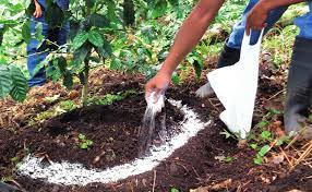 Acidez y encalado de los suelos agrícolas